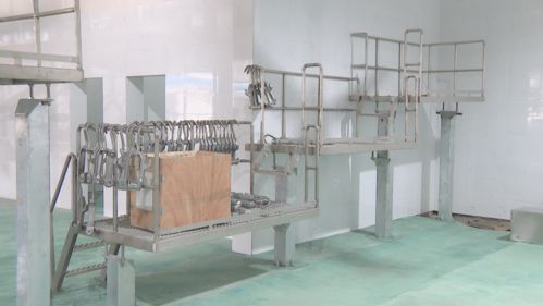 全市唯一宰牛場提標擴建 守護市民舌尖上的安全