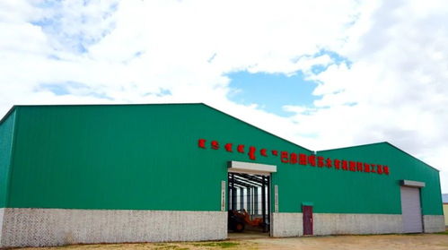 高原黑金 錫林郭勒羊糞如何成為國家地標農(nóng)產(chǎn)品的秘密